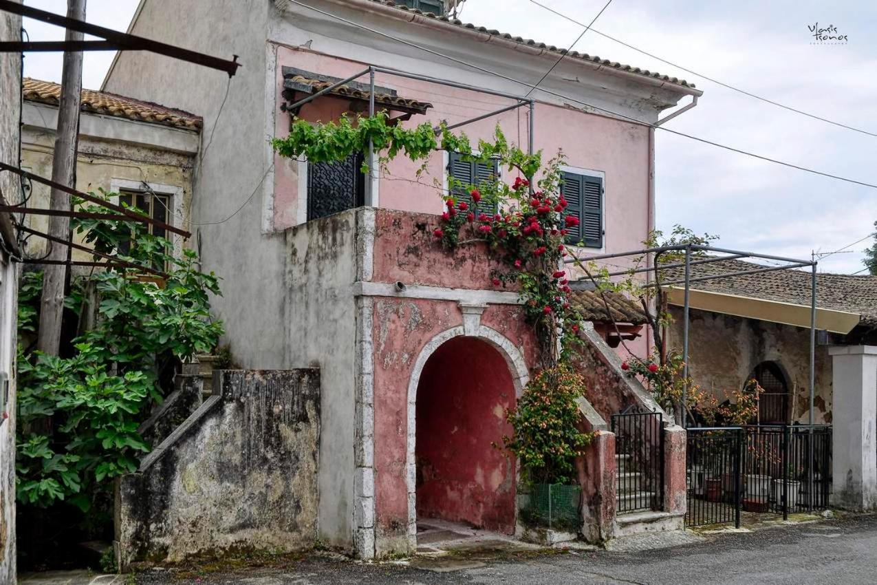 Alexandras Forest View Apartamento Agios Prokopios  Exterior foto